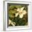 Hibiscus Leaves II-Patricia Pinto-Framed Premium Giclee Print