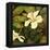 Hibiscus Leaves II-Patricia Pinto-Framed Stretched Canvas