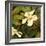 Hibiscus Leaves II-Patricia Pinto-Framed Premium Giclee Print