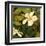 Hibiscus Leaves II-Patricia Pinto-Framed Art Print