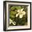 Hibiscus Leaves II-Patricia Pinto-Framed Art Print