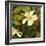 Hibiscus Leaves II-Patricia Pinto-Framed Art Print