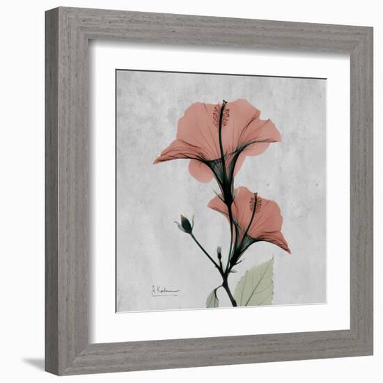 Hibiscus Marsala-Albert Koetsier-Framed Art Print