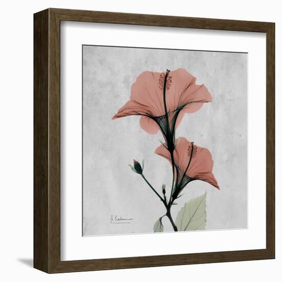 Hibiscus Marsala-Albert Koetsier-Framed Art Print