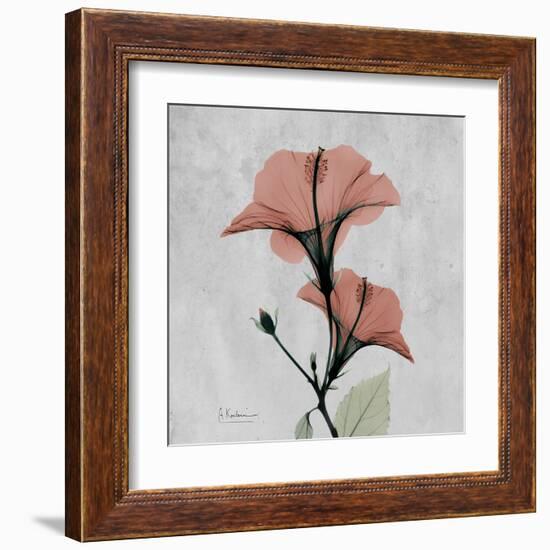 Hibiscus Marsala-Albert Koetsier-Framed Art Print