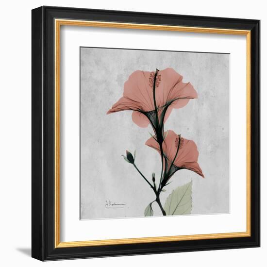 Hibiscus Marsala-Albert Koetsier-Framed Art Print