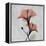 Hibiscus Marsala-Albert Koetsier-Framed Stretched Canvas