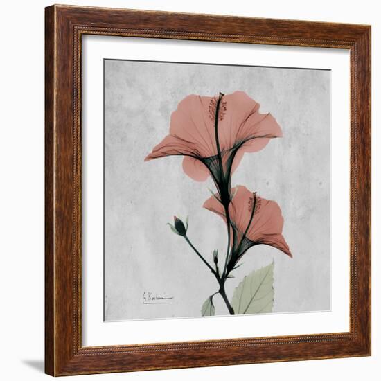 Hibiscus Marsala-Albert Koetsier-Framed Art Print