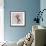 Hibiscus Marsala-Albert Koetsier-Framed Premium Giclee Print displayed on a wall