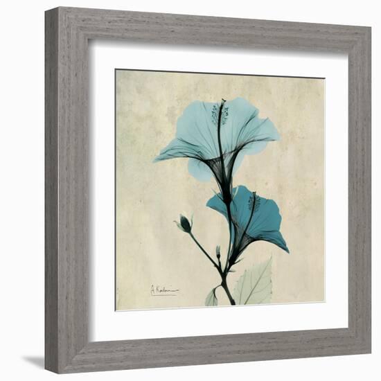 Hibiscus Moment-Albert Koetsier-Framed Art Print