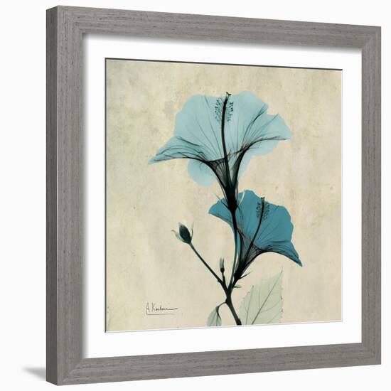 Hibiscus Moment-Albert Koetsier-Framed Art Print