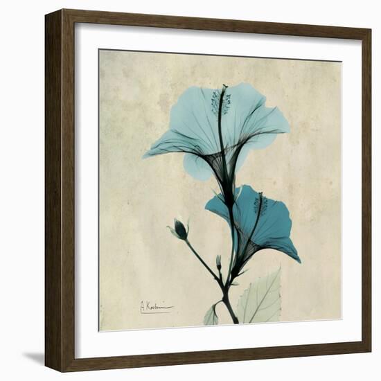 Hibiscus Moment-Albert Koetsier-Framed Art Print