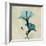 Hibiscus Moment-Albert Koetsier-Framed Premium Giclee Print