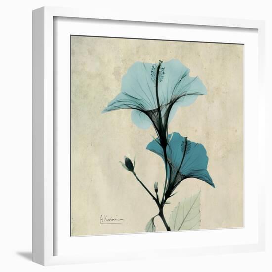 Hibiscus Moment-Albert Koetsier-Framed Premium Giclee Print