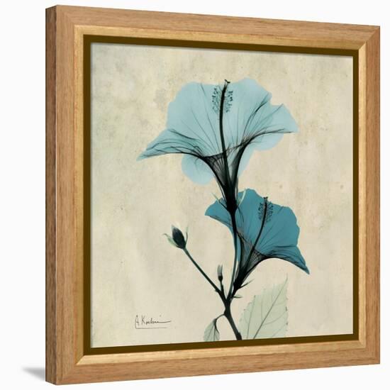 Hibiscus Moment-Albert Koetsier-Framed Stretched Canvas