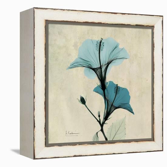 Hibiscus Moment-Albert Koetsier-Framed Stretched Canvas