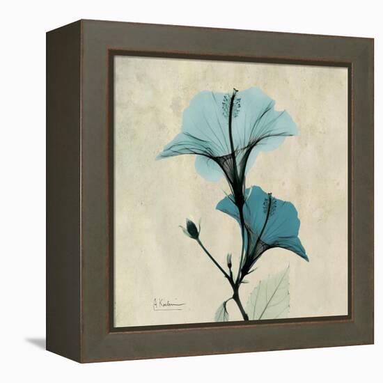 Hibiscus Moment-Albert Koetsier-Framed Stretched Canvas