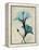 Hibiscus Moments-Albert Koetsier-Framed Stretched Canvas