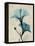 Hibiscus Moments-Albert Koetsier-Framed Stretched Canvas