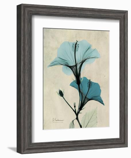 Hibiscus Moments-Albert Koetsier-Framed Premium Giclee Print