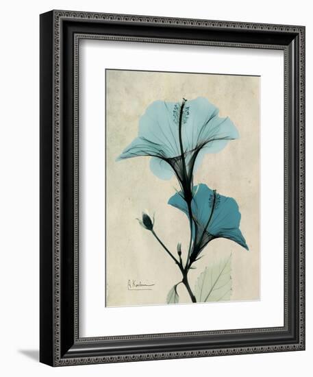 Hibiscus Moments-Albert Koetsier-Framed Premium Giclee Print