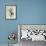 Hibiscus Moments-Albert Koetsier-Framed Premium Giclee Print displayed on a wall