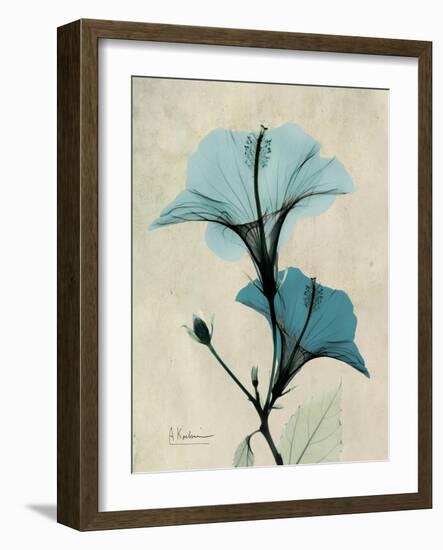 Hibiscus Moments-Albert Koetsier-Framed Premium Giclee Print