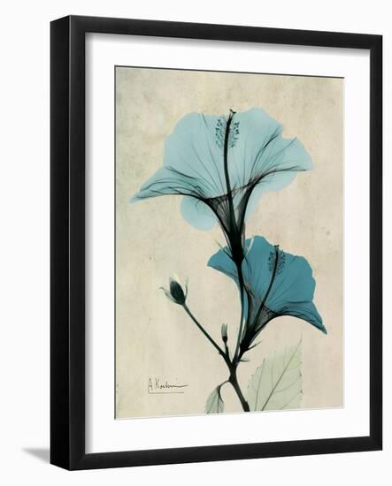 Hibiscus Moments-Albert Koetsier-Framed Premium Giclee Print