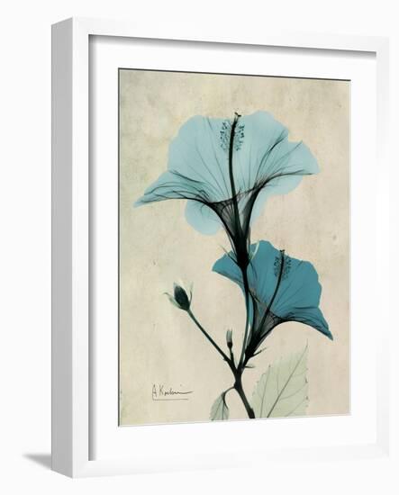 Hibiscus Moments-Albert Koetsier-Framed Premium Giclee Print