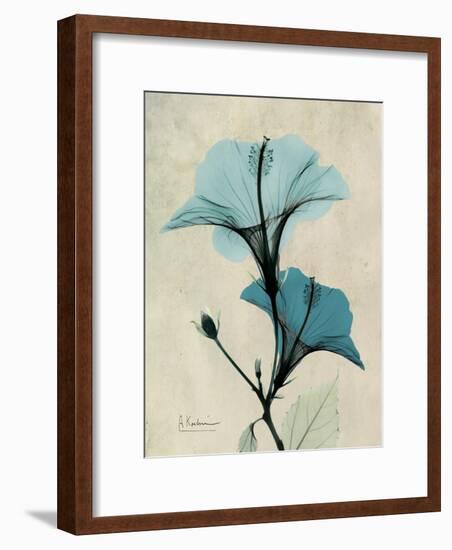 Hibiscus Moments-Albert Koetsier-Framed Premium Giclee Print