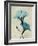 Hibiscus Moments-Albert Koetsier-Framed Premium Giclee Print