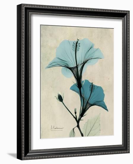 Hibiscus Moments-Albert Koetsier-Framed Premium Giclee Print