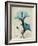 Hibiscus Moments-Albert Koetsier-Framed Premium Giclee Print