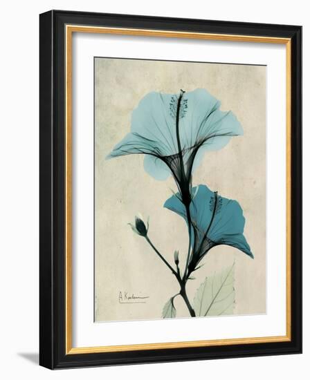 Hibiscus Moments-Albert Koetsier-Framed Premium Giclee Print