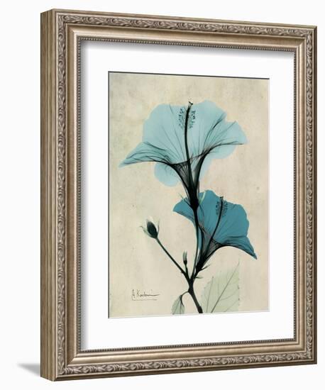 Hibiscus Moments-Albert Koetsier-Framed Art Print