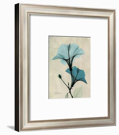 Hibiscus Moments-Albert Koetsier-Framed Art Print