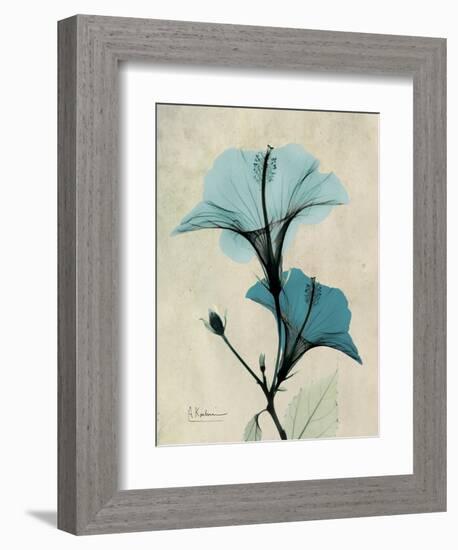 Hibiscus Moments-Albert Koetsier-Framed Art Print