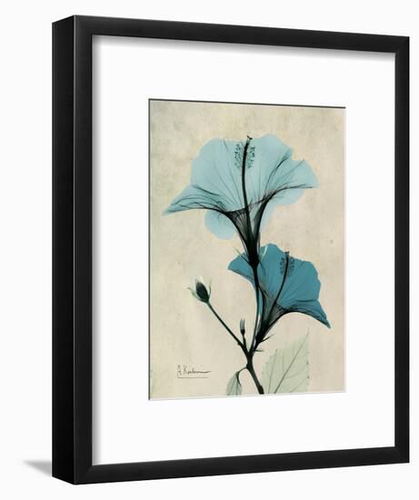 Hibiscus Moments-Albert Koetsier-Framed Art Print