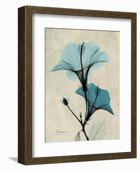 Hibiscus Moments-Albert Koetsier-Framed Art Print