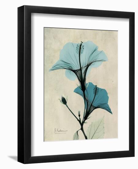 Hibiscus Moments-Albert Koetsier-Framed Art Print