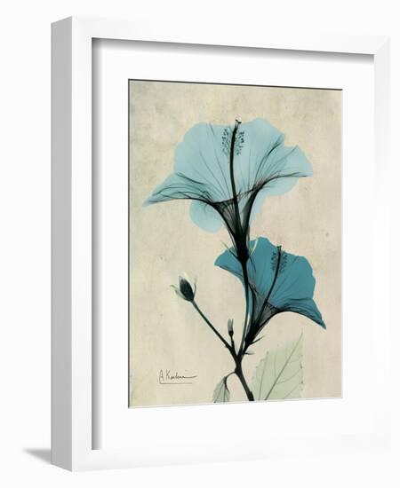 Hibiscus Moments-Albert Koetsier-Framed Art Print