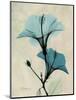 Hibiscus Moments-Albert Koetsier-Mounted Art Print