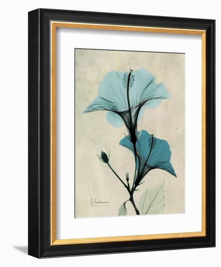 Hibiscus Moments-Albert Koetsier-Framed Art Print