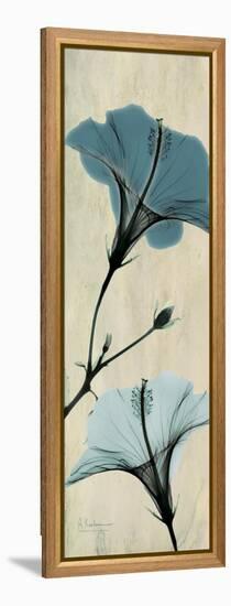 Hibiscus Moments-Albert Koetsier-Framed Stretched Canvas