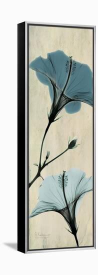 Hibiscus Moments-Albert Koetsier-Framed Stretched Canvas