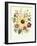 Hibiscus Moscheutos and Lavatera Treloba-null-Framed Giclee Print