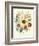 Hibiscus Moscheutos and Lavatera Treloba-null-Framed Giclee Print