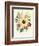 Hibiscus Moscheutos and Lavatera Treloba-null-Framed Giclee Print