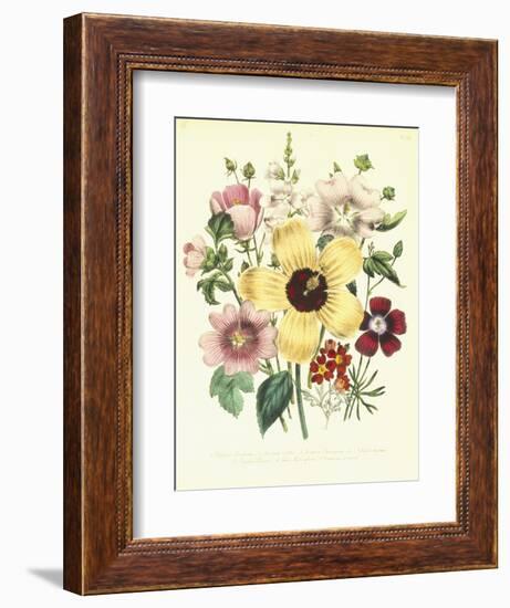 Hibiscus Moscheutos and Lavatera Treloba-null-Framed Giclee Print