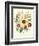 Hibiscus Moscheutos and Lavatera Treloba-null-Framed Giclee Print